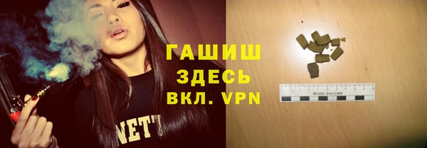 spice Гусев