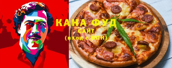 spice Гусев