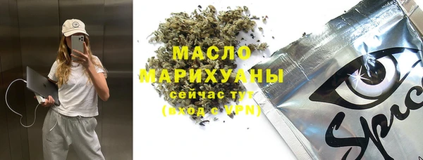 spice Гусев