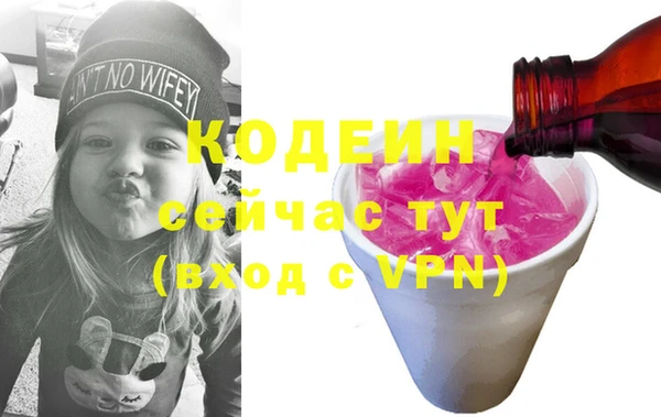 spice Гусев