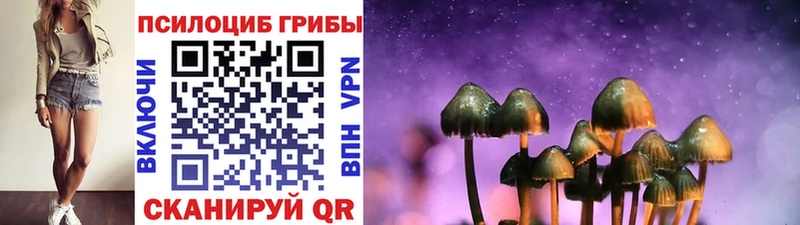 Купить закладки  Любим  Псилоцибиновые грибы GOLDEN TEACHER 